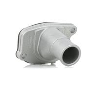 DAYCO DT1063F Thermostat d'eau