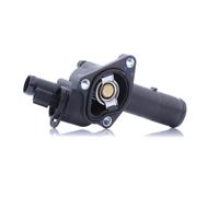 DAYCO DT1075F Thermostat d'eau
