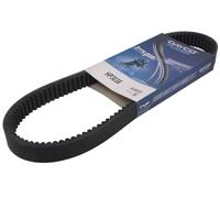 DAYCO HP3038 Courroie de distribution