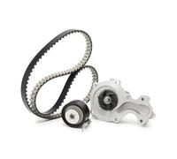 DAYCO KBIOWP020 Kit de distribution + pompe à eau