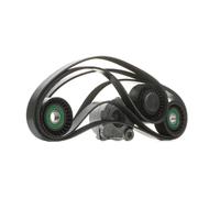 DAYCO KPV444 Jeu de courroies trapézoïdales à nervures