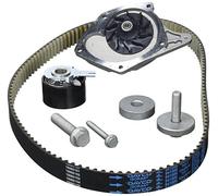 Dayco KTBWP5321 Distribution Kit avec Pompe à Eau
