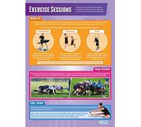 Daydream Education | Affiches d'éducation physique | Papier brillant laminé mesurant 850 mm x 594 mm (A1) | Tableaux d'éducation physique pour la salle de classe