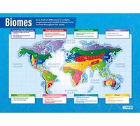 Daydream Education Biomes | Affiches de géographie | Papier brillant mesurant 850 mm x 594 mm (A1) | Affiches de classe de géographie | Cartes éducatives