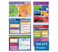 Daydream Education Lot de 5 affiches de représentation des données | Affiches informatiques | Papier brillant mesurant 850 mm x 594 mm (A1) | Affiches STEM pour la salle de classe | Tableaux éducatifs