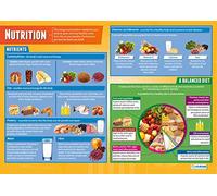 Daydream Education| Nutrition |Papier brillant mesurant 850 mm x 594 mm (A1) | Affiche de classe pour le soin des enfants | Tableaux éducatif