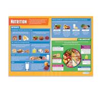 Daydream Education Poster éducatif Nutrition - Papier brillant - 850 mm x 594 mm (A1)