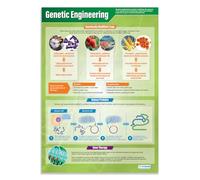 Daydream Education Poster scientifique en papier brillant plastifié 850 x 594 mm (A1)