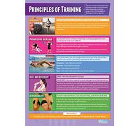 Daydream Education Principes de l'entraînement sportif | Affiches PE | Papier brillant laminé mesurant 850 mm x 594 mm (A1) | Tableaux d'éducation physique pour la salle de classe