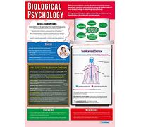 Daydream Education Psychologie biologique | Affiches de psychologie | Papier brillant laminé mesurant 850 mm x 594 mm (A1) | Tableaux de psychologie pour la salle de classe