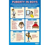Daydream Education Puberty in Boys | Poster PSHE | Papier plastifié brillant mesurant 850 mm x 594 mm (A1) | Posters de classe PSE | Tableaux éducatifs