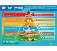 Daydream Education Pyramide alimentaire | Affiches scientifiques | Papier brillant mesurant 850 mm x 594 mm (A1) | Tableaux scientifiques pour la salle de classe