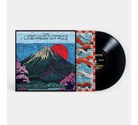 Dayes, Yussef - Experience: Mt. Fuji FM