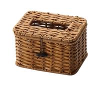 DAYLIGHE Housse de boîte à mouchoirs rectangulaire imitation rotin tissé décoratif facile à installer pour salon ou chambre à coucher