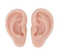 DAYLIGHE Prothèses d'oreille en Silicone pour L'étude De L'anatomie La Pratique La Cosmétologie Et Les Projets 'Art Visuel Réalistes Modèle Pratique Perçage 'Oreille Étanche