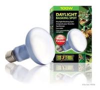 Exo Terra – Ampoule Daylight Basking Spot – 100 W