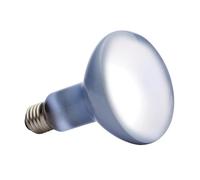 DAYLIGHT BASKING SPOT ampoule 150 W