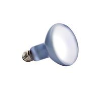 DAYLIGHT BASKING SPOT ampoule 150 W