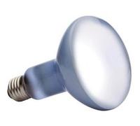 DAYLIGHT BASKING SPOT ampoule 150 W G