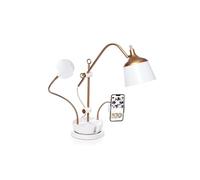 daylight Lampe de table Anita : lampe lumière du jour (6000 K) pour loisirs créatifs, quilting et couture. la luminosité, de la couleur et de l'abat-jour. Bonus : plateau, loupe et pince pour.