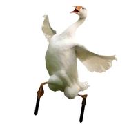 DAYnagh Décoration de jardin en acrylique en forme d'oie multifonction pour pelouse extérieure et décoration de la maison