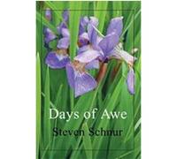 Days Of Awe Steven Schnur (Auteur)