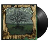 Days of the New – Days of the New II / The Green Album – Vinyle noir 180 g audiophile, insert inclus