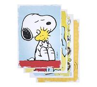 DaySpring Peanuts 74870 Cartes d'encouragement Bleu