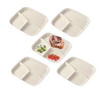 Dayysiuy Assiette Divisée | Plat de Service à 3 Compartiments - Set de 5 Assiettes avec Séparations,Pour Les Adultes La Cuisine À La Maison La Cuisson Le Manger Les Fruits Les Légumes