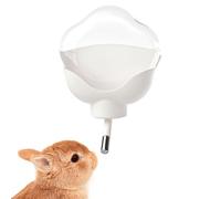 Dayysiuy Biberon pour hamster - 500 ml - Récipient transparent anti-fuite - Pour cage - Alimentation quotidienne en intérieur - Pour petits animaux - Entretien de routine - Voyage