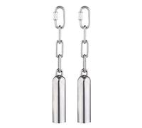 DAZLOR Lot de 2 clochettes en acier inoxydable pour oiseaux, jouets robustes pour perroquets, perroquets gris du Gabon, mini cacatoès