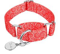 Dazzber Collier Martingale pour Chiens, Anti-Traction, Anti-Fuite, Robuste, pour Chiens de Taille Moyenne et Grande, réglable, 43,2 cm à 63,5 cm, Rouge, Nuage de Bon augure