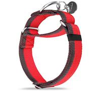 Dazzber Martingale Collar - Collier pour chien en nylon 1200D extra résistant de 3,8 cm de large - Anti-traction - Avec rayures bicolores - Pour chiens de taille moyenne à XL (taille L, 3,8 cm de