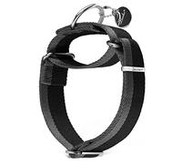 Dazzber Martingale Collar - Collier pour chien en nylon extra résistant - 4 cm de large - Anti-traction - Avec rayures bicolores - Pour chiens de taille moyenne à XL (noir et gris, taille L, 3,8 cm de