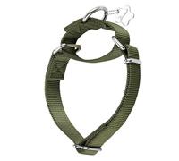 Dazzber Martingale Collier Anti-échappement en Nylon Robuste pour Chiens de Taille Moyenne et Grande - pour la Marche, l'entraînement au Quotidien, Taille M, Vert Militaire