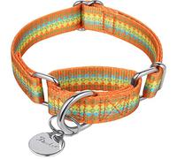 Dazzber Martingale Collier pour chiens - Collier souple et réglable pour chien - Anneau en D résistant - Collier étrangleur pour chiens de grande et moyenne taille - 2,5 cm de large - Orange jaune
