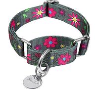 Dazzber Martingale Collier pour Chiens - Collier Souple et réglable pour, Collier étrangleur pour Chiens de Petite Taille Moyenne (M, 2,5 cm de Large,graphie)