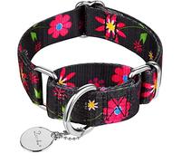Dazzber Martingale Colliers pour Chiens, Doux Lisse - Durable - Heavy Duty - Réglable - Non Échapper Collier de Chien pour Petite/Grands Taille