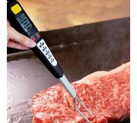 DAZZLEEX double sonde électronique LED thermomètre à viande alimentaire thermomètre à viande fourchette température numérique BBQ cuisine cuisson