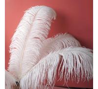 DAZZLEEX Lot de 10 plumes d'autruche blanches - Accessoires de décoration pour loisirs créatifs, table, vase, maison, mariage