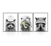 Dazzlewall Lot de 3 Posters Raton Laveur Drôles en Noir et Blanc pour Salle de Bain Buanderie 30×40 cm Non Encadrés