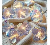 DAZZTIME Lumineuse LED en Fleurs,20 LED Guirlande Lumineuse 3m,Guirlandes Lumineuses LED Fleurs,Guirlandes Décoratives Fleurs,Lichterkette Frühling,pour Printemps Intérieur,Jardin,Patio