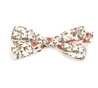 DB Dickie Bow Nœud papillon élastique en coton de luxe pour enfants garçons, Orange poussiéreux, crème et vert mousse, Length 10cm, width 5cm.