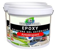 DB Rénovation Kit Antidérapant Résine Epoxy sol Terrasse + Sable de quartz - Gris clair 10KG Peinture pour béton extérieur