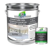 DB Rénovation PEINTURE SOL BETON Industriel - Garage, sous-sol - Extrême trafic intérieur, extérieur - Haute résistance - Gris fenêtre - Kit 5,5KG + 1L Diluant
