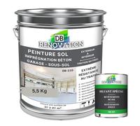 DB Rénovation PEINTURE SOL BETON Industriel - Garage, sous-sol - Extrême trafic intérieur, extérieur - Haute résistance - Gris soie - Kit 5,5KG + 1L Diluant