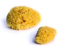 dBb Remond Eponges Naturelles Lot de 2