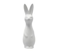 DBKD Swedish rabbit large White