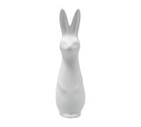 DBKD Swedish rabbit small White