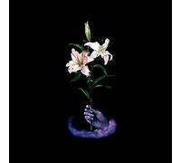 Dbuk - Songs One Through Eight [Cd]